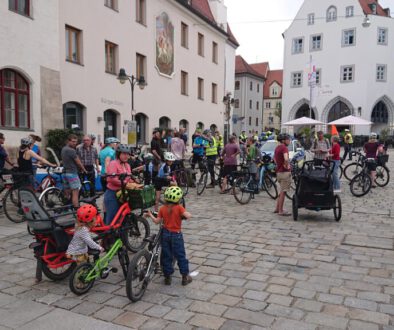 Critical Mass Freising